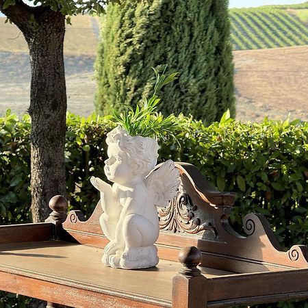 מרסיליאנה Agriturismo Il Raduno - Max Lelli מראה חיצוני תמונה
