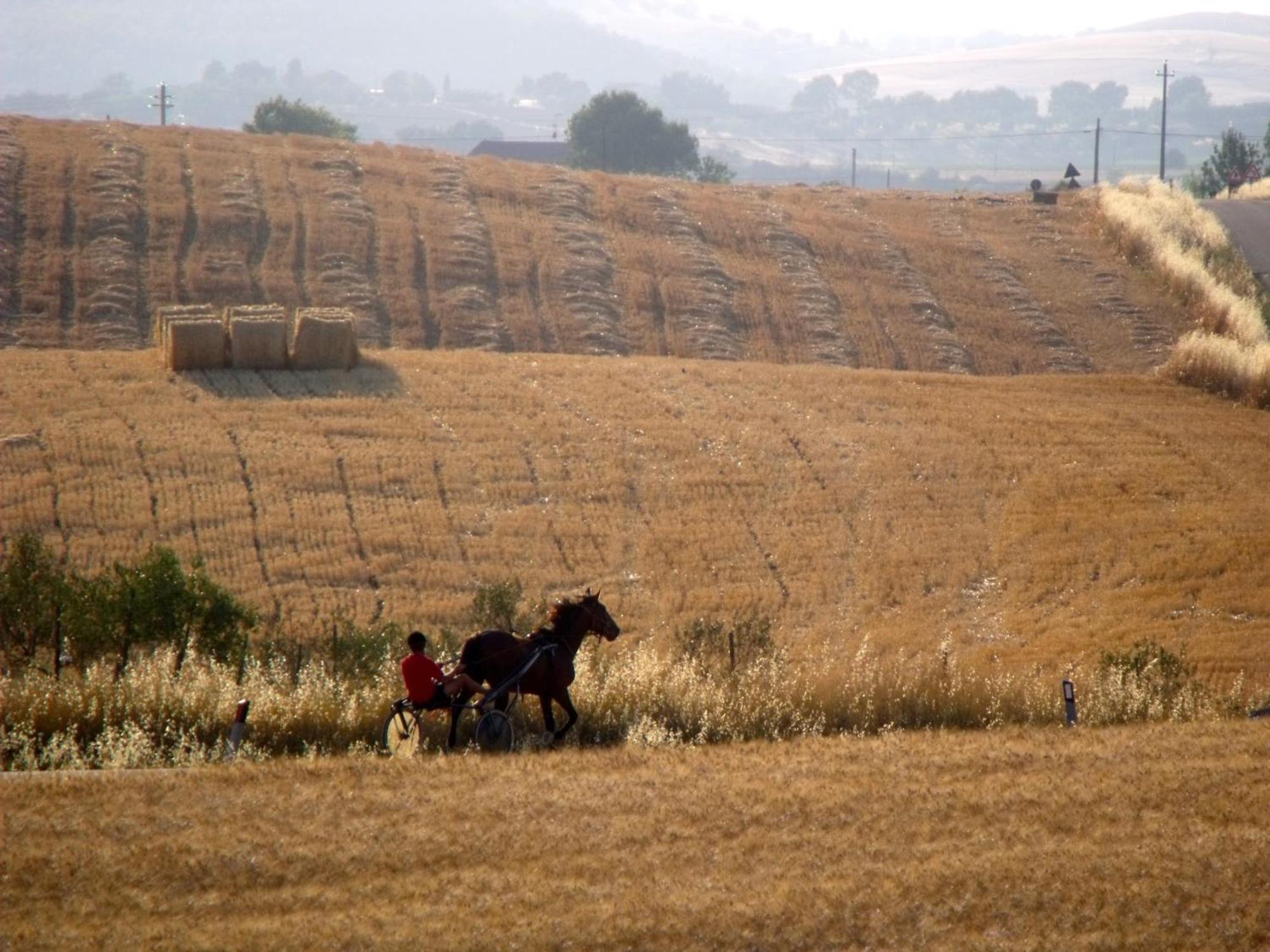 מרסיליאנה Agriturismo Il Raduno - Max Lelli מראה חיצוני תמונה