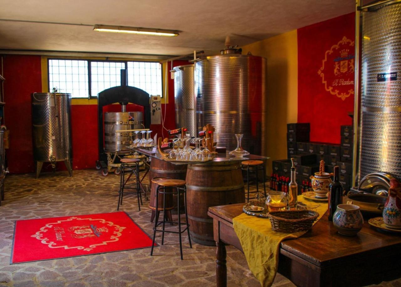 מרסיליאנה Agriturismo Il Raduno - Max Lelli מראה חיצוני תמונה